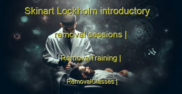 Skinart Lockholm introductory removal sessions | RemovalTraining | RemovalClasses | SkinartTraining-Australia